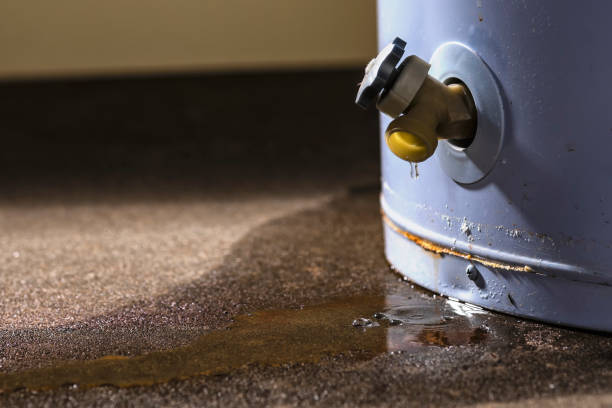 Best 24/7 water damage repair  in Anderson, IN