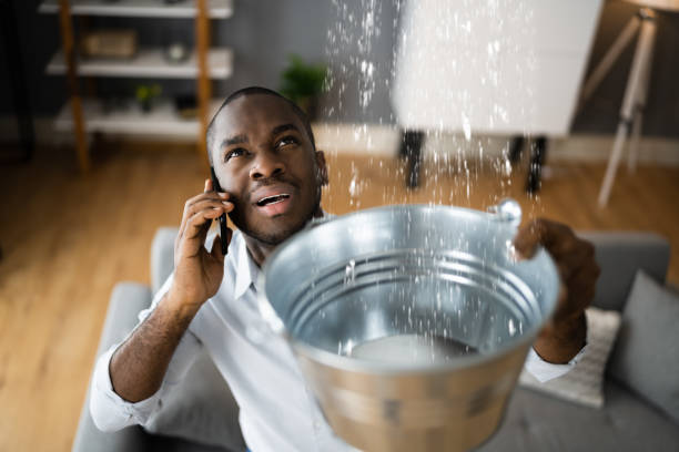 Best Flood damage cleanup  in Anderson, IN