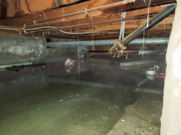 Trusted Anderson, IN Water damage restoration Experts