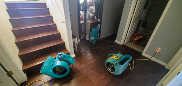 Best Commercial water damage restoration  in Anderson, IN