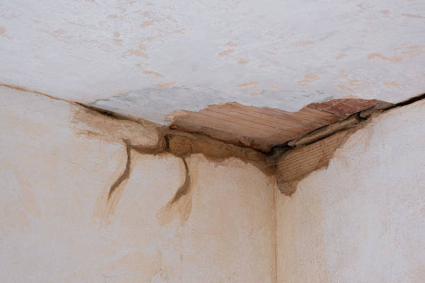 Best Sewage cleanup and water damage restoration  in Anderson, IN