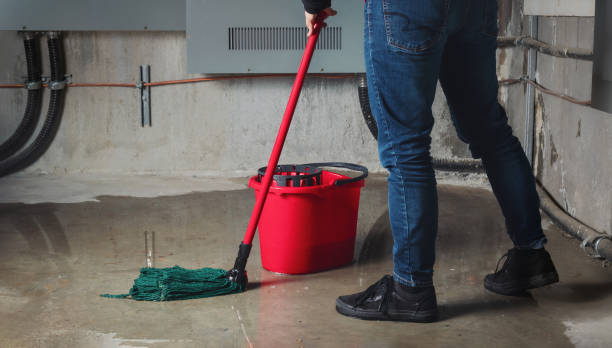 Best Mold removal after water damage  in Anderson, IN
