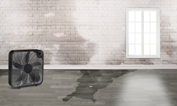 Best Water damage repair service  in Anderson, IN